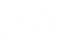 RK Transportation Services